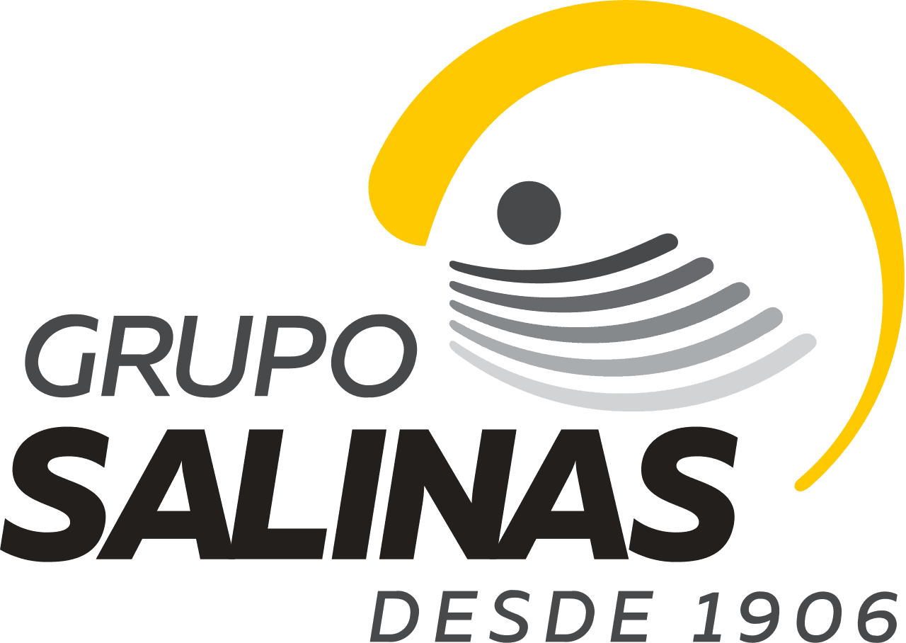 Grupo Salinas